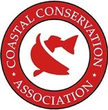 CCA Logo