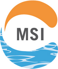 MSI_logo