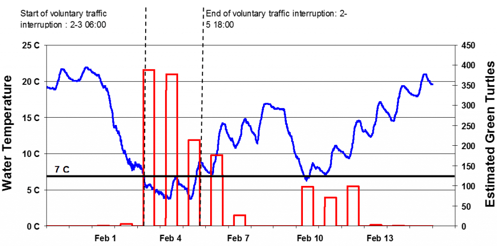 turtle_graph1